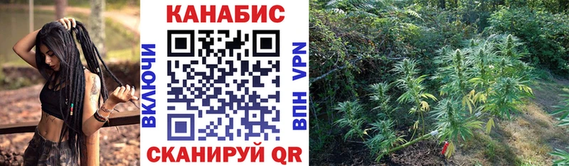 MEGA онион что такое наркотик Пустошка Конопля сатива